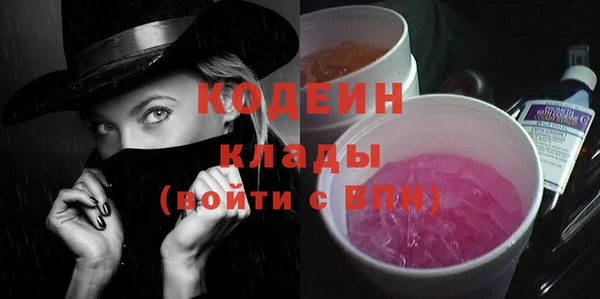 ГАЛЛЮЦИНОГЕННЫЕ ГРИБЫ Аркадак