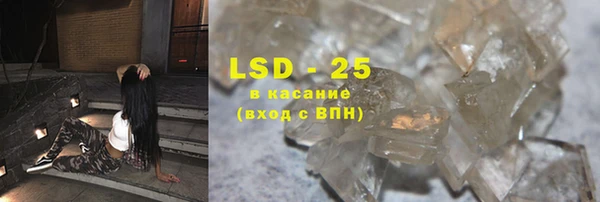 ГАЛЛЮЦИНОГЕННЫЕ ГРИБЫ Аркадак