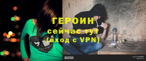 ГАЛЛЮЦИНОГЕННЫЕ ГРИБЫ Аркадак
