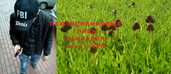 прущий лед Армянск