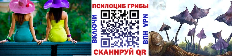 дарк нет Telegram  Руза  Псилоцибиновые грибы ЛСД 